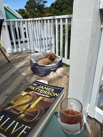 Relaxing on the deck with my pups