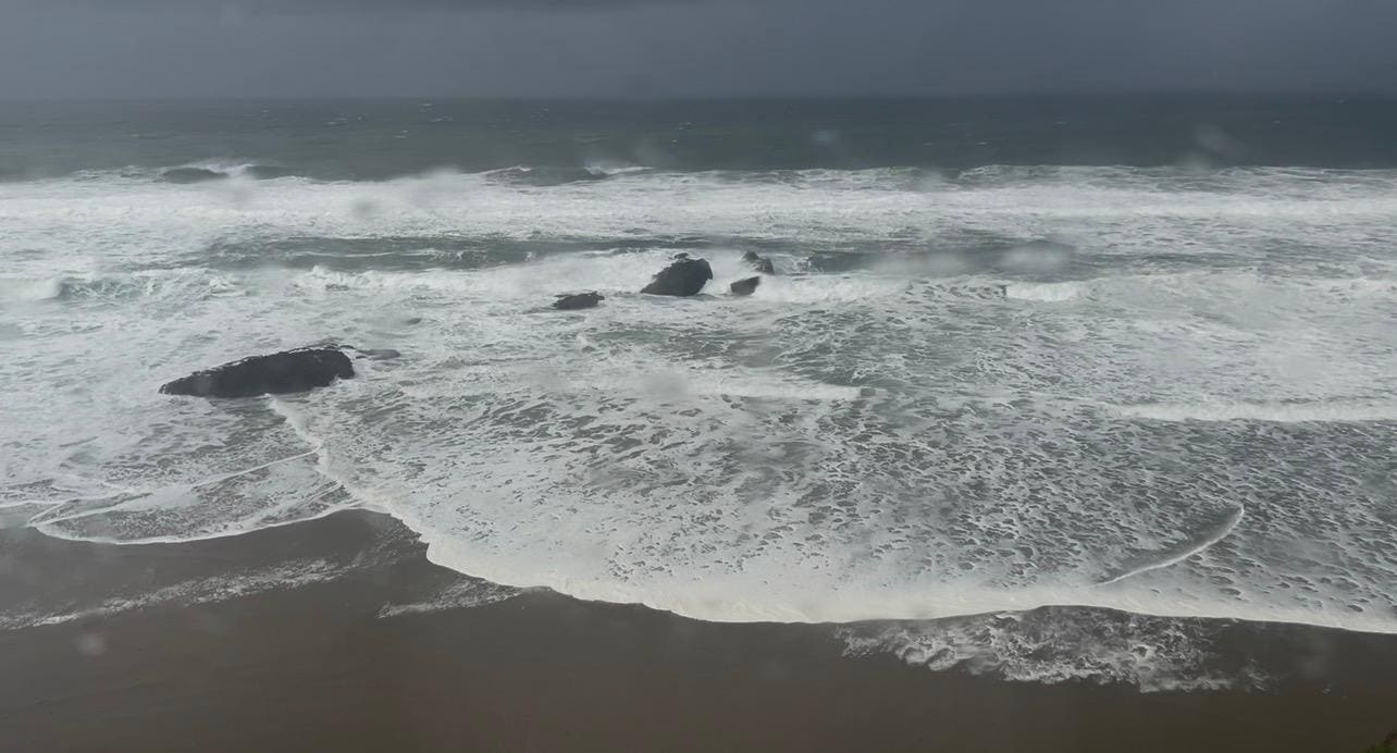 View from living room 