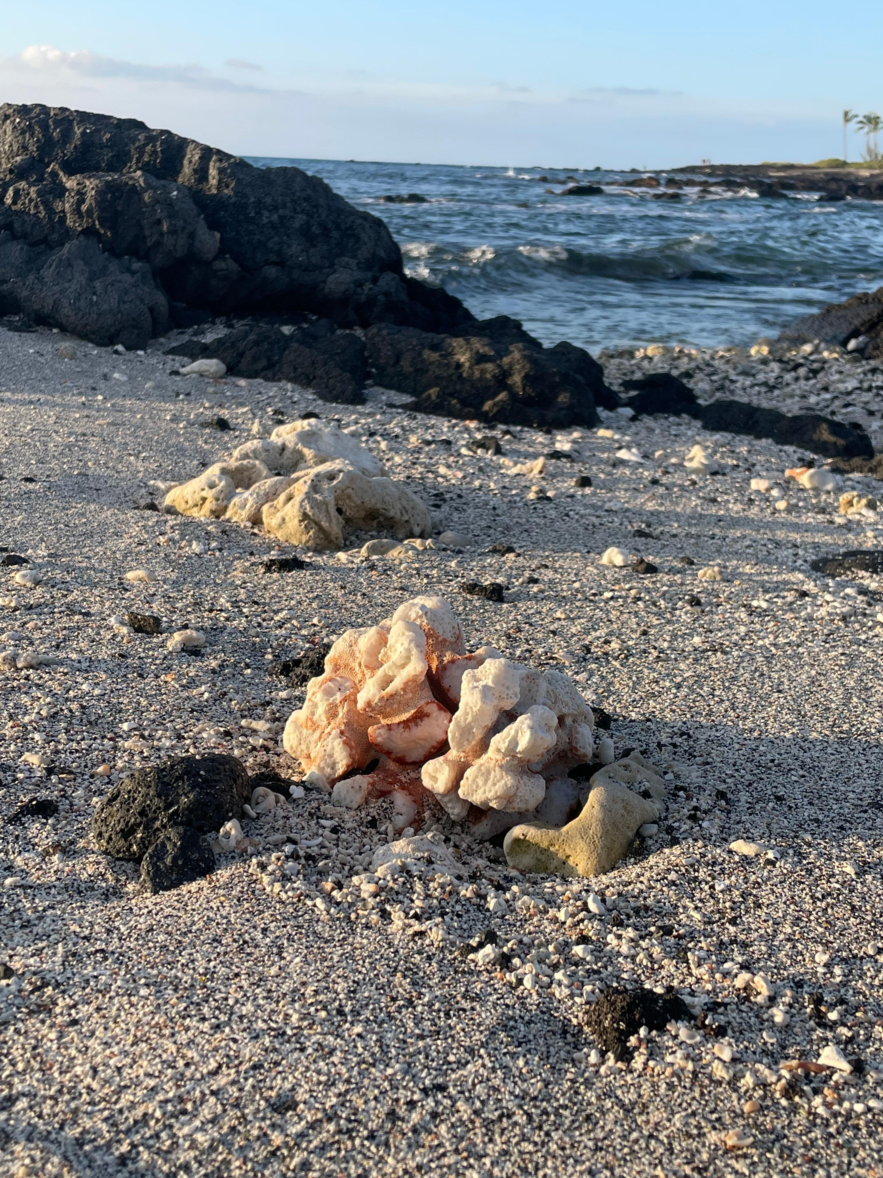 Beach 5 min walk for sunsets 