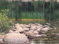 Jordan Pond - popovers are good but getting swarmed with wasps is not, get them to go