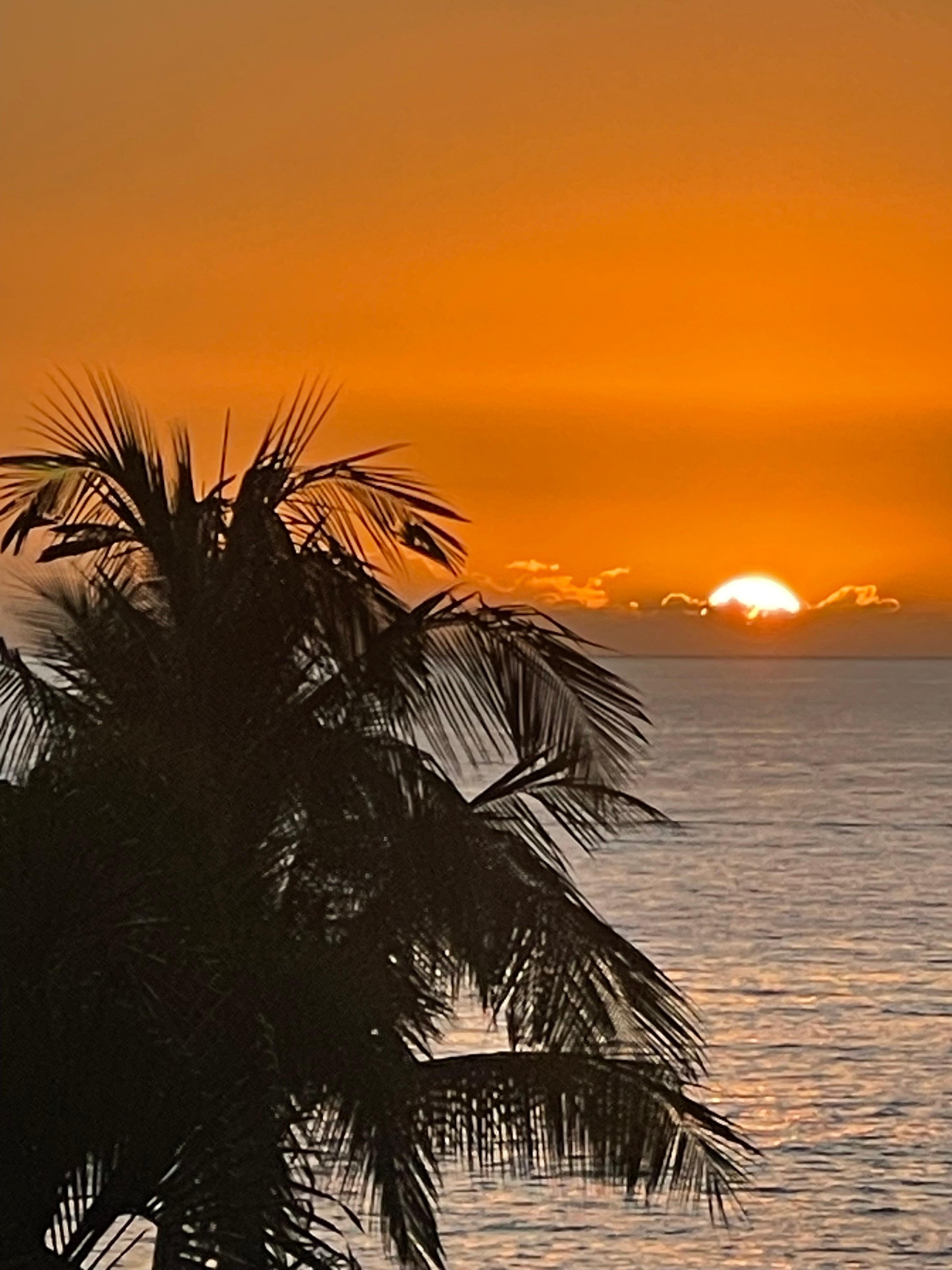 Photo from our lanai. 