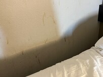 Stains on the walls