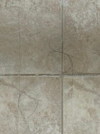 Hair all over the shower from the person in the room before us