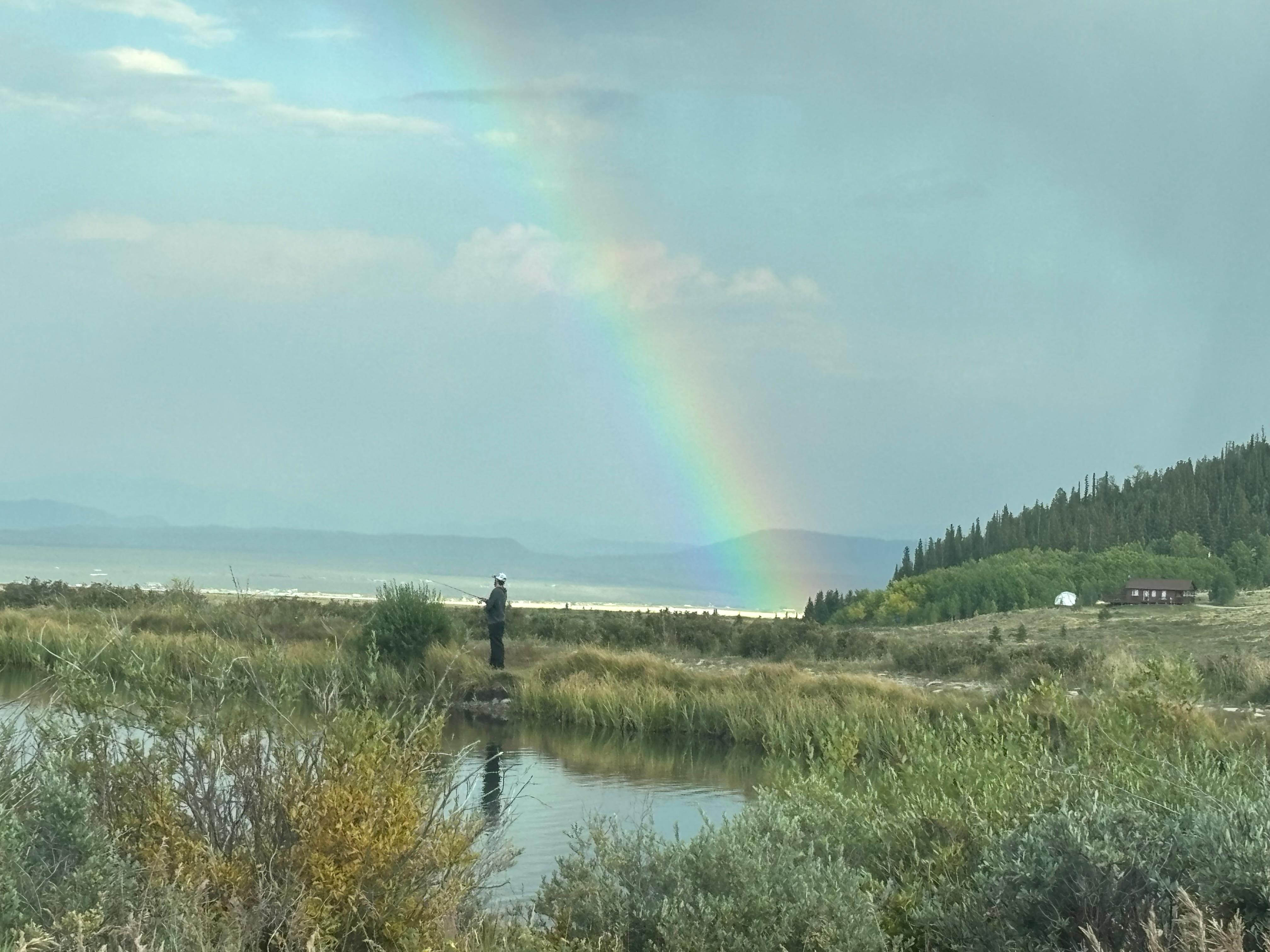 After the rain shower at the pond