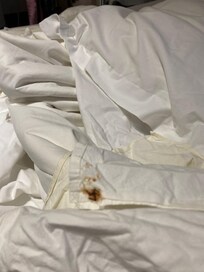 I’ve no idea if it was poop 💩 in my bed! Dirty sheets