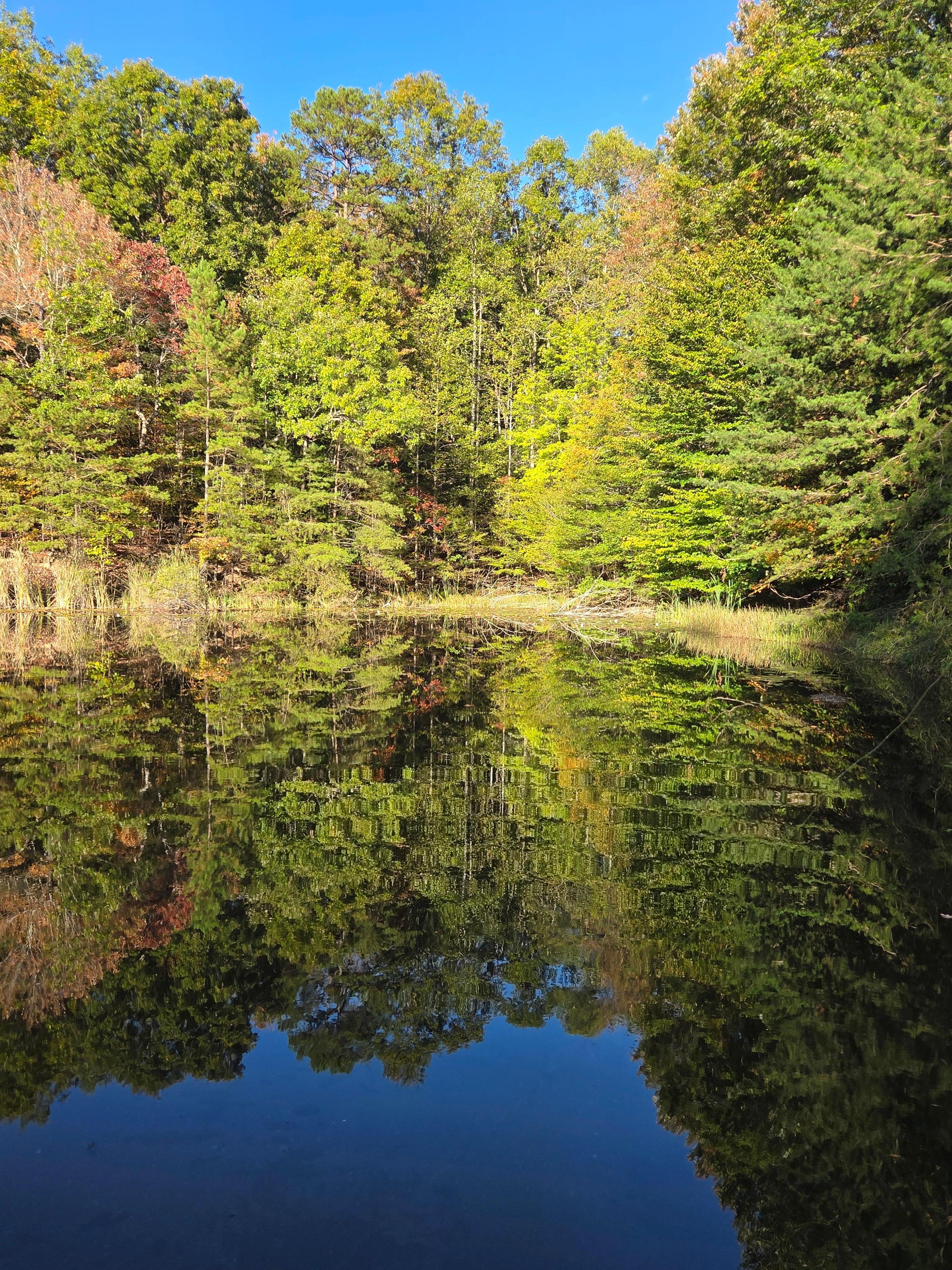 A view from the dock 