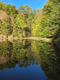 A view from the dock