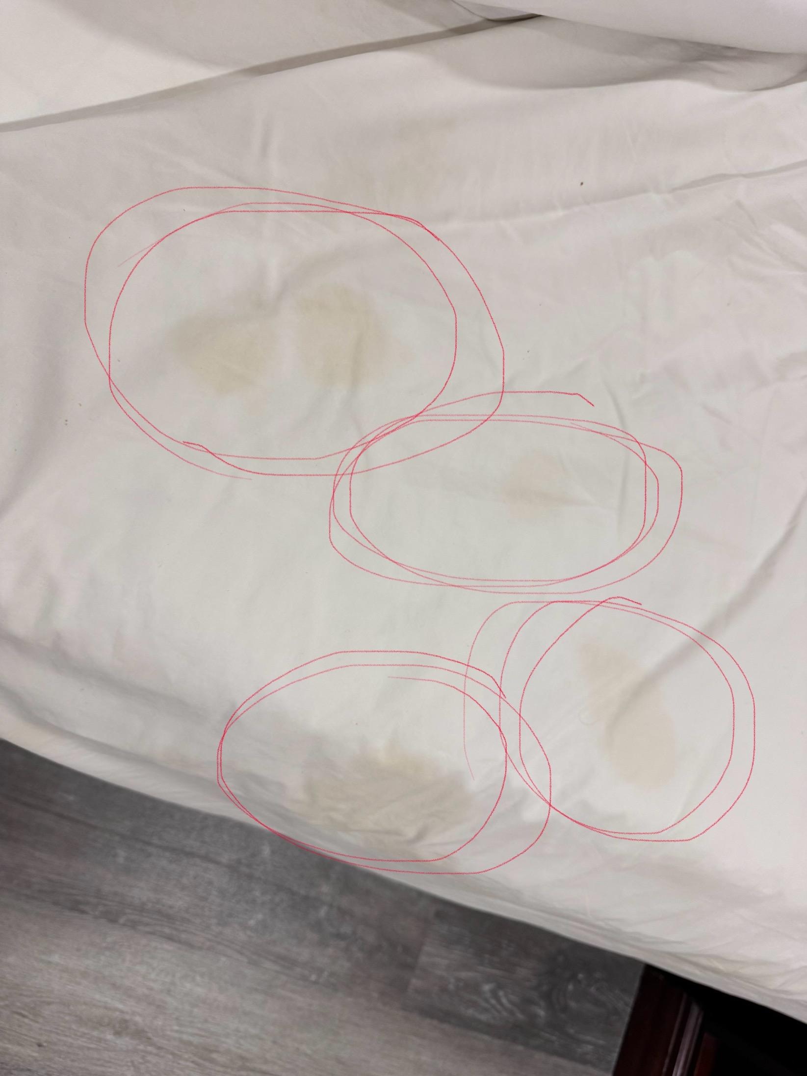 Here it is. Just look at this bed sheet. 