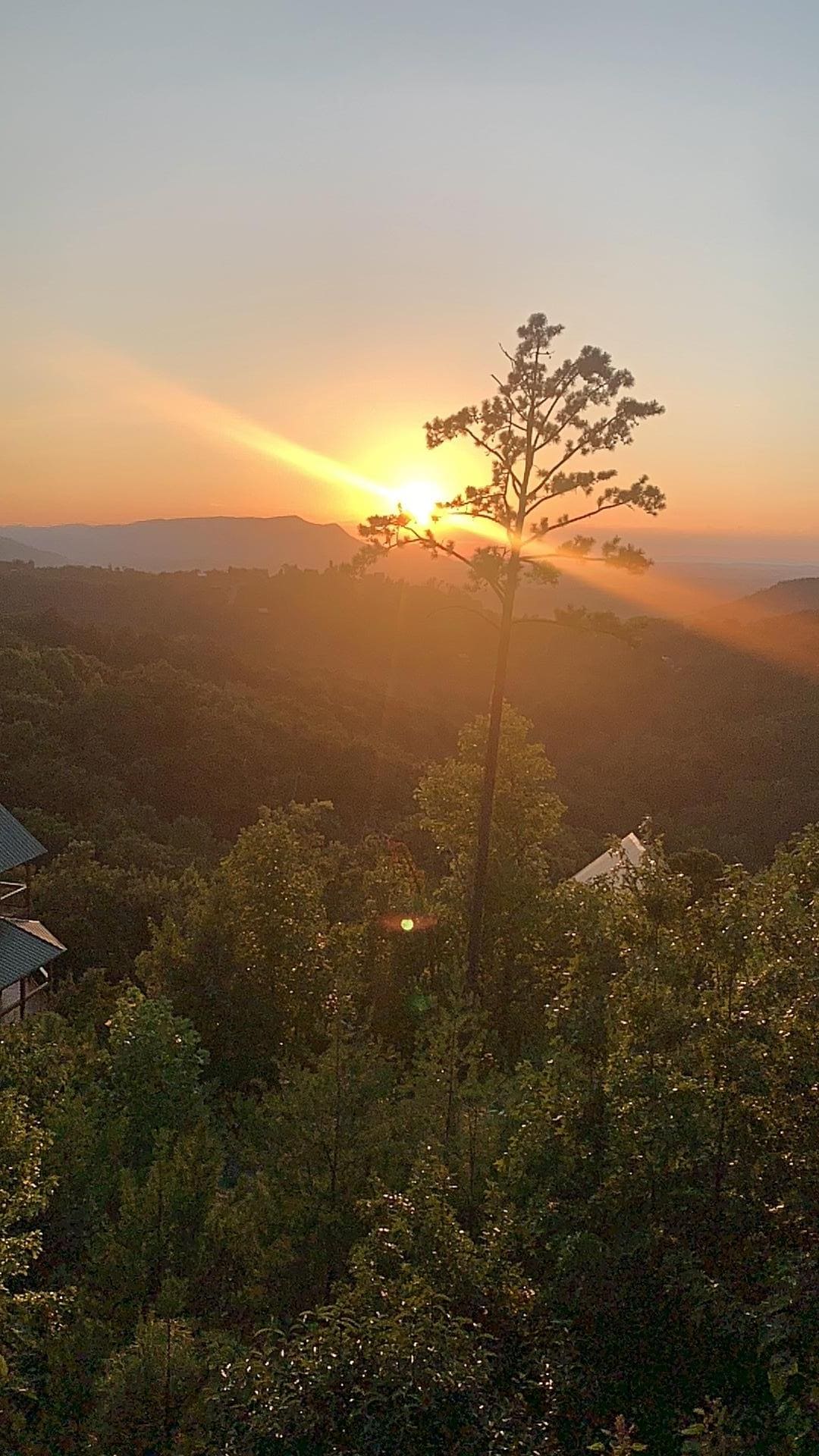 Views from the back porch.