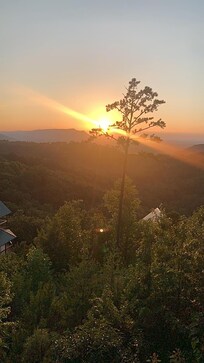 Views from the back porch.