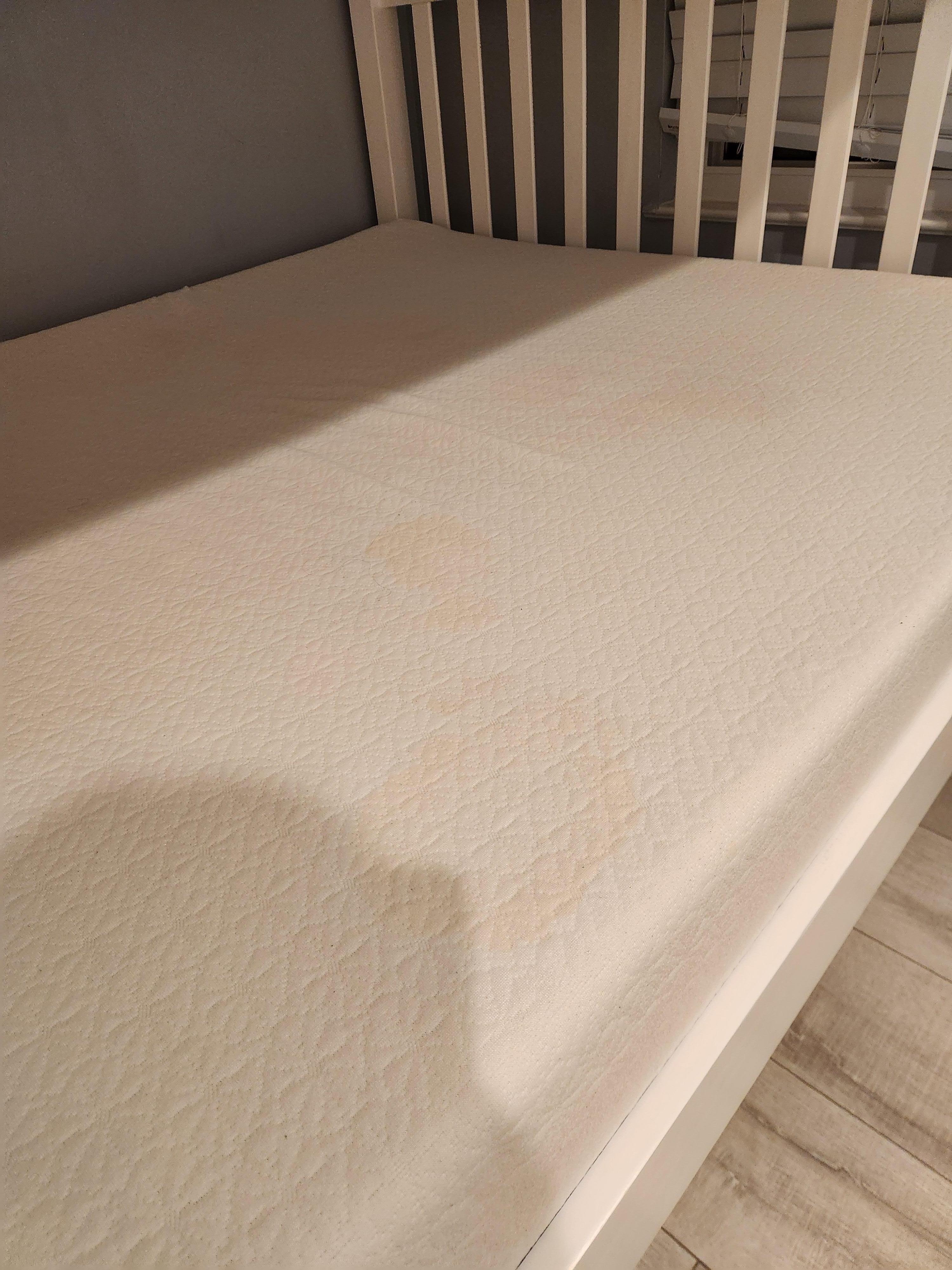 Bottom Bunk