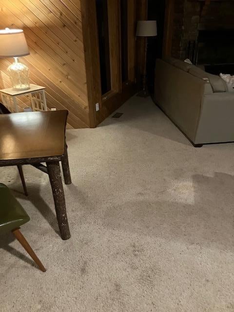 Stains in Carpet
