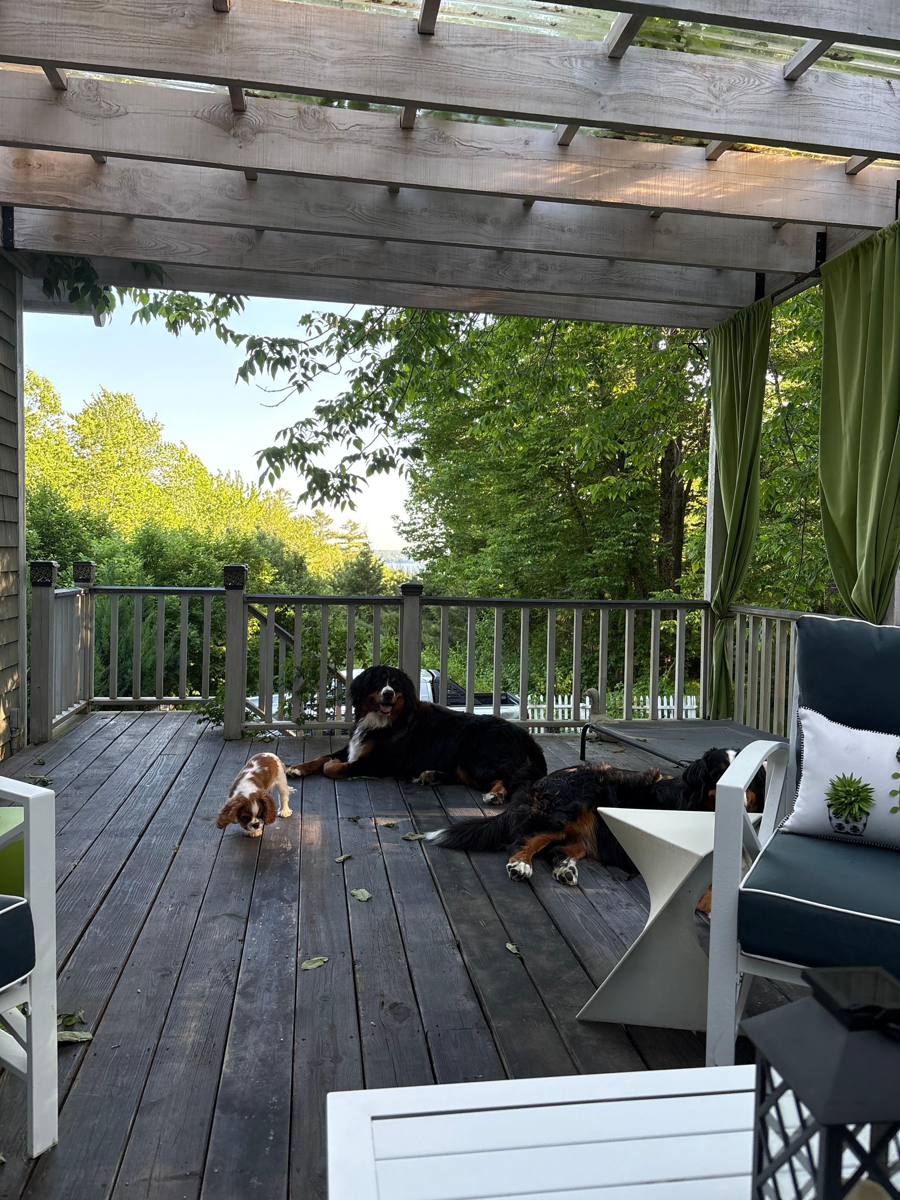 Bungalow balcony