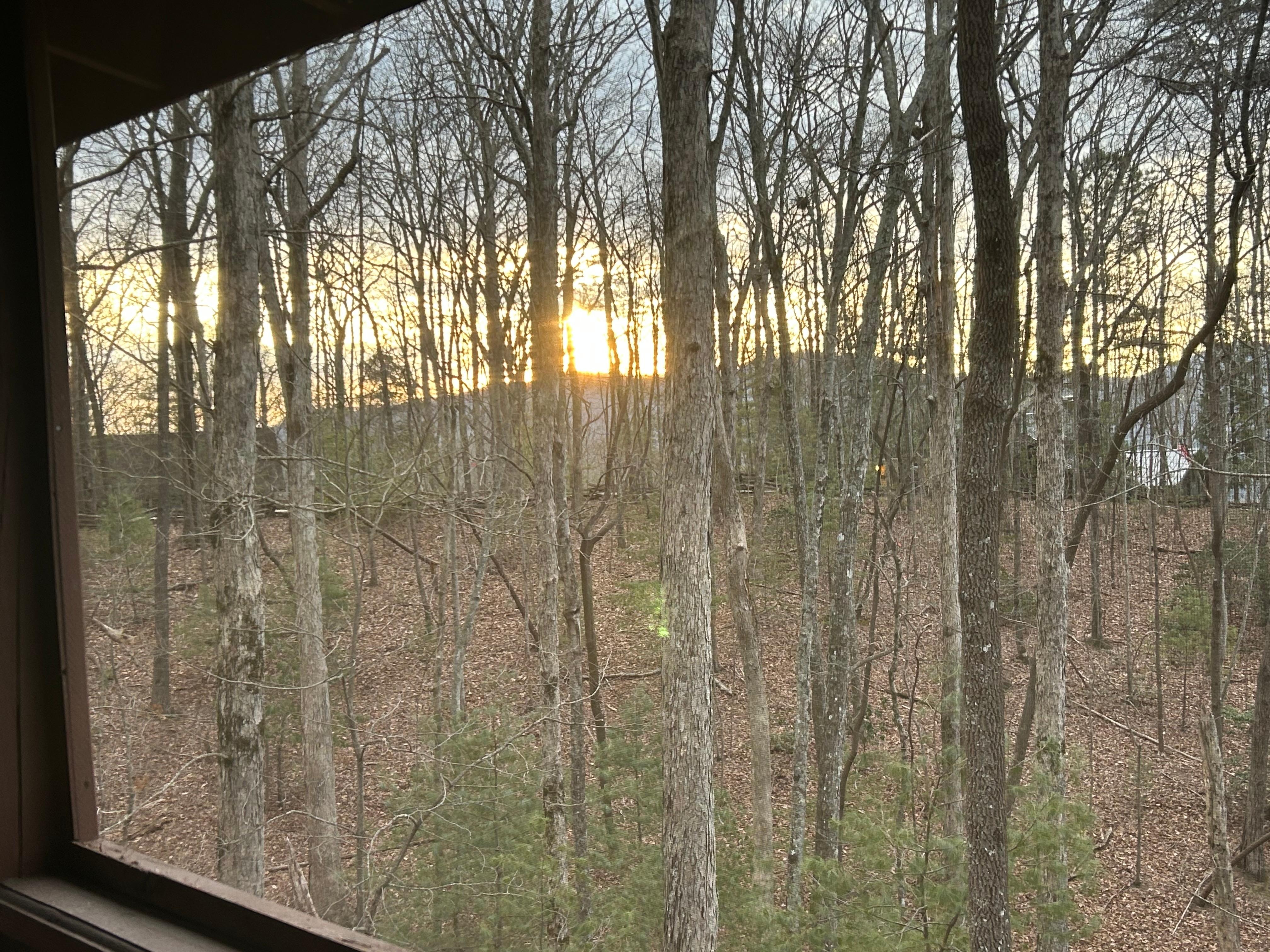 Beautiful sunrise from the front porch 