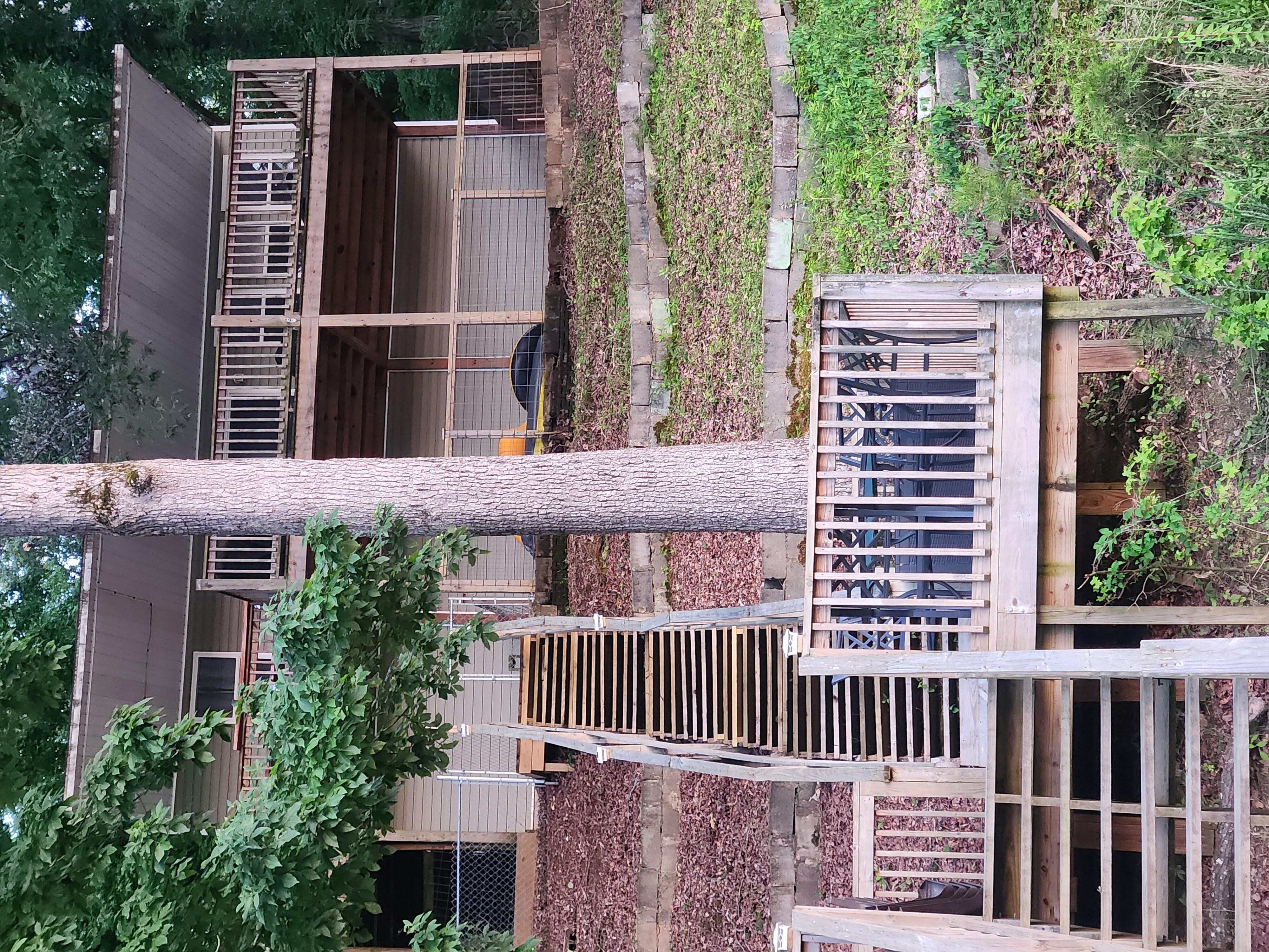 View from dock up to the house