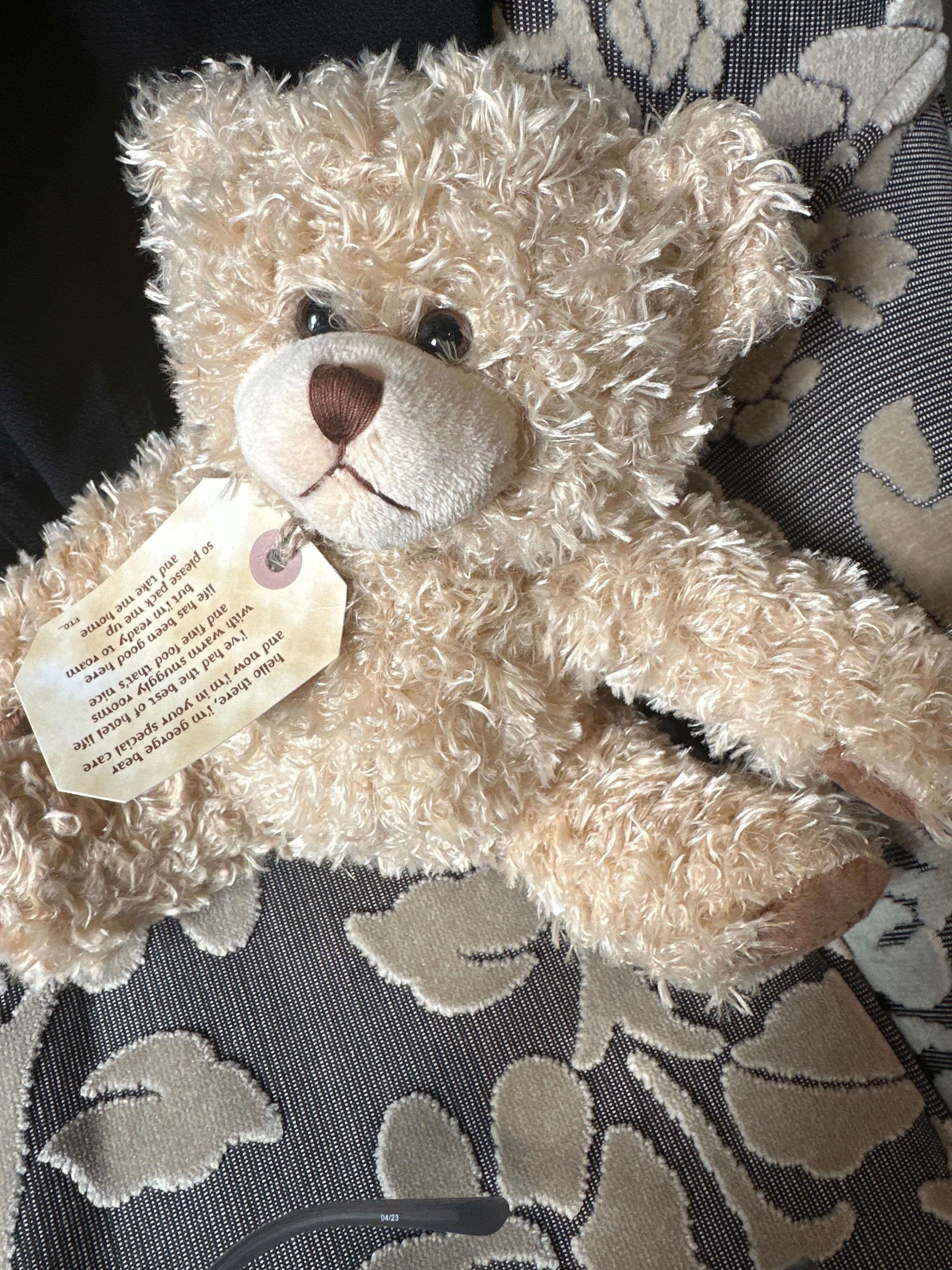 My nightly companion