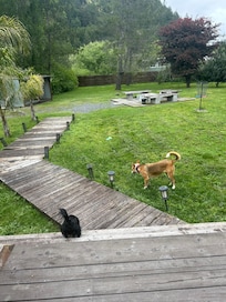 Backyard
