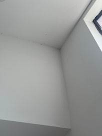 Lots of dead bugs