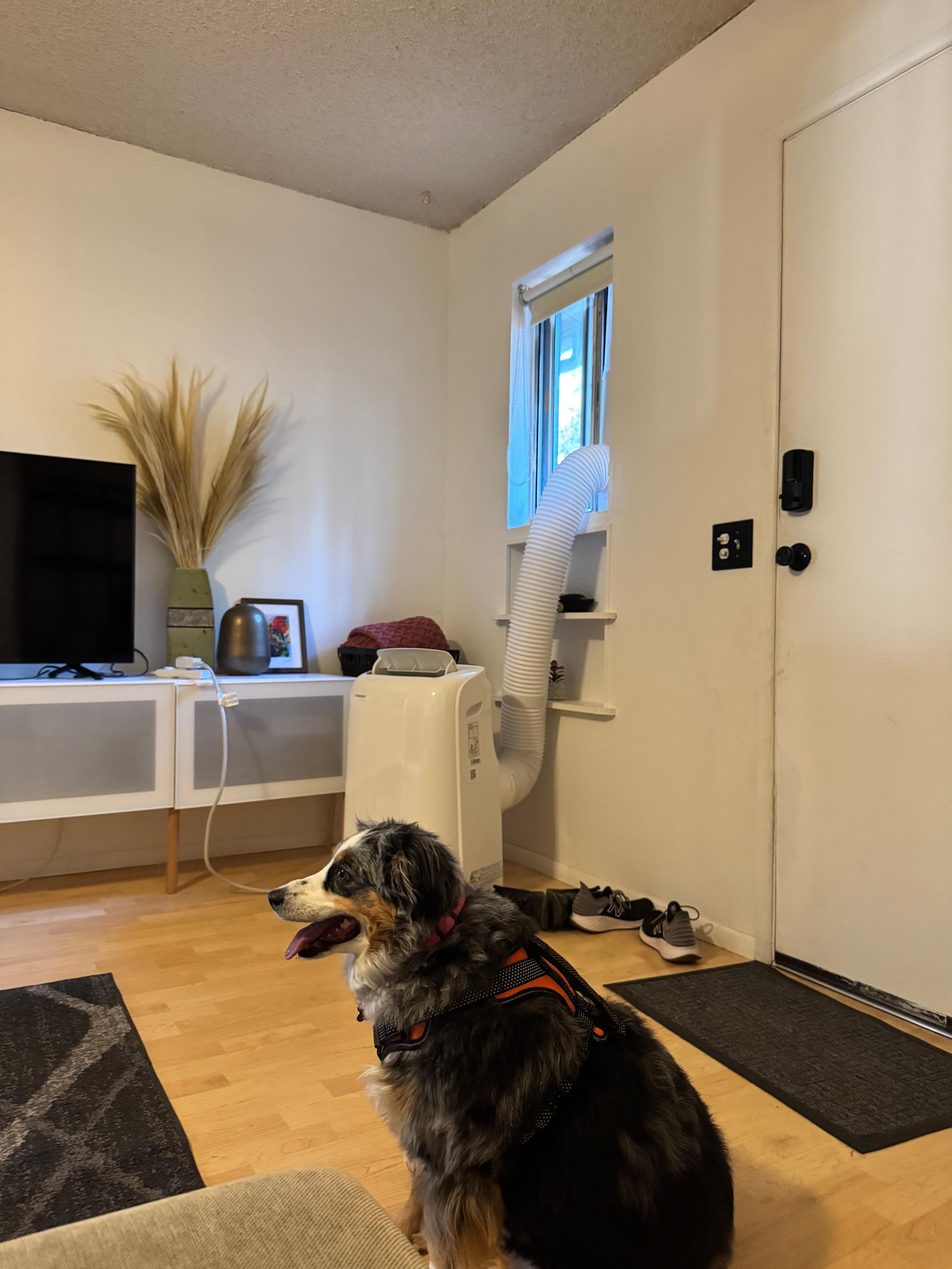 Window room AC keeping us cool. 