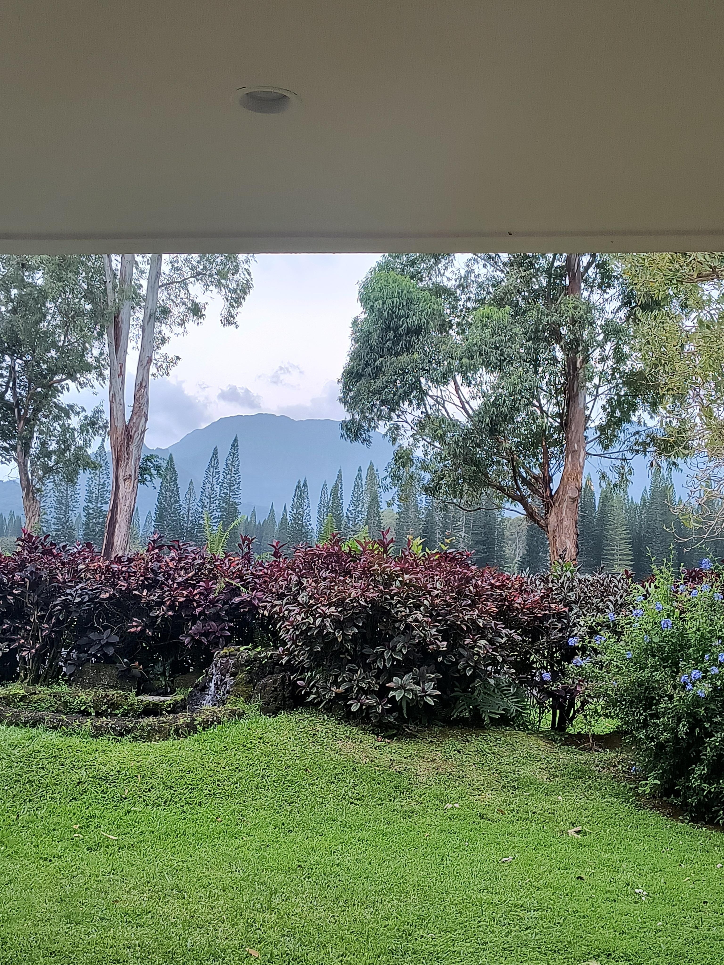 Our view from the backyard... sitting with a glass of wine thoroughly enjoying it!