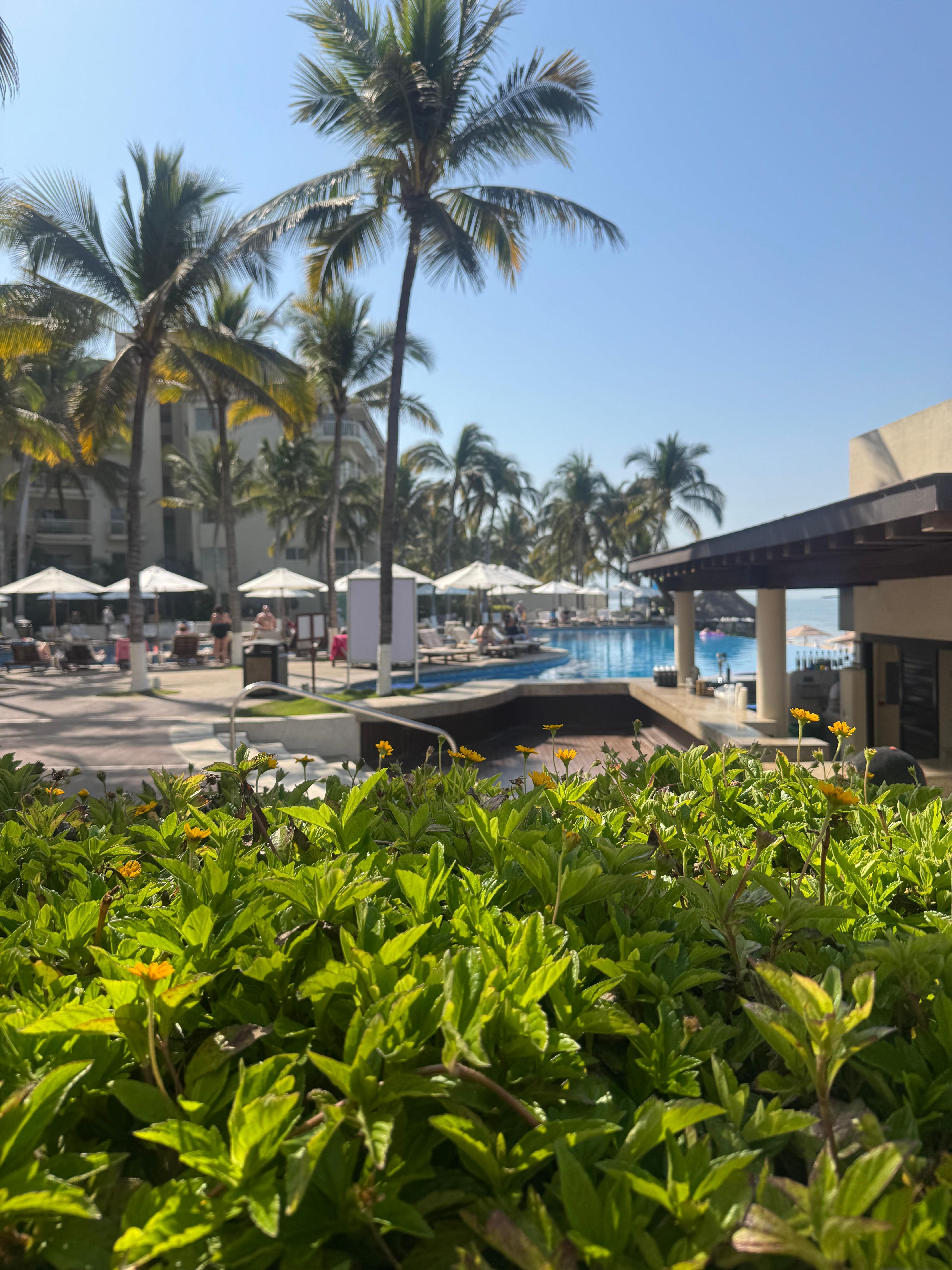 Side of adult pool where access to buffet is and also to the beach