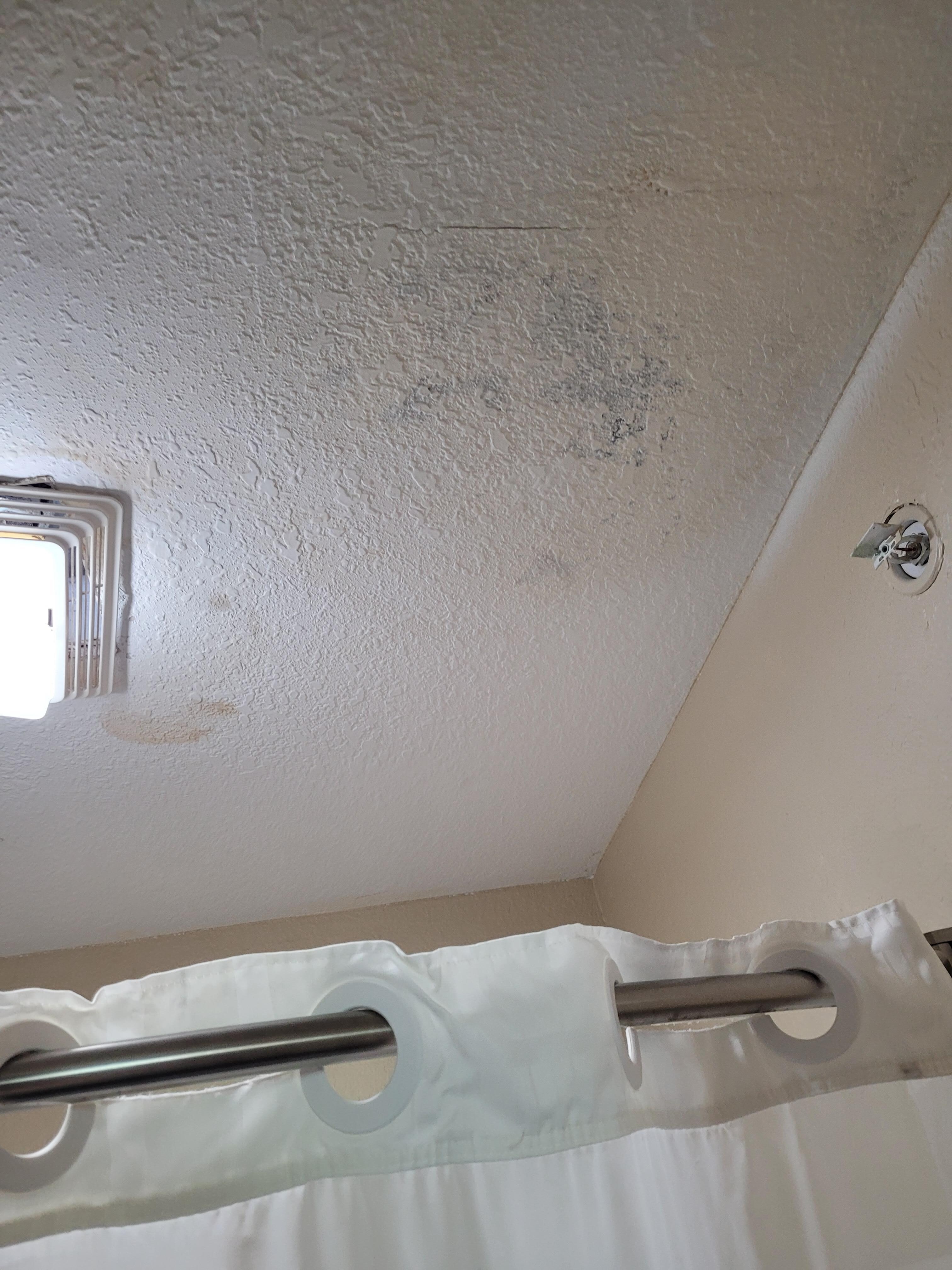 Mold on bathroom ceiling.