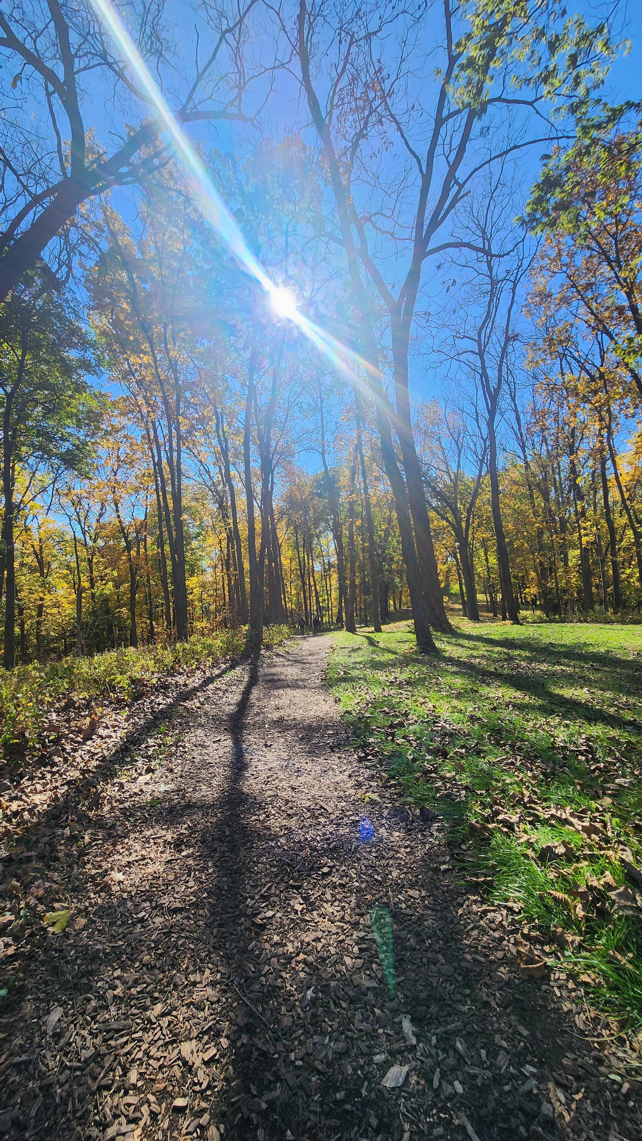 Effigy mounds. 