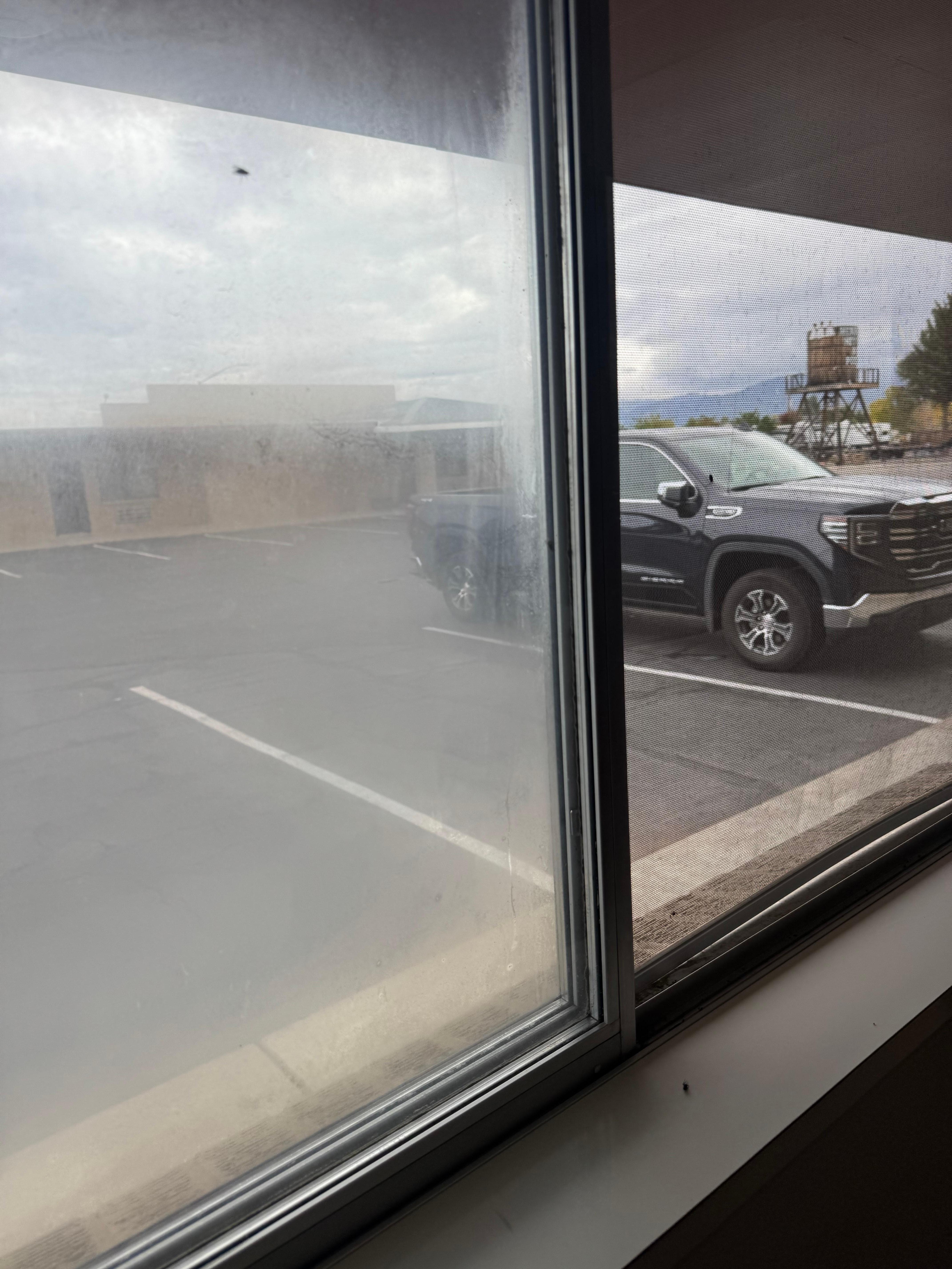 Room Infested with flies