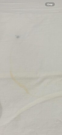 Urine