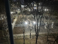 Master bedroom window overlooking the little park and 7-eleven