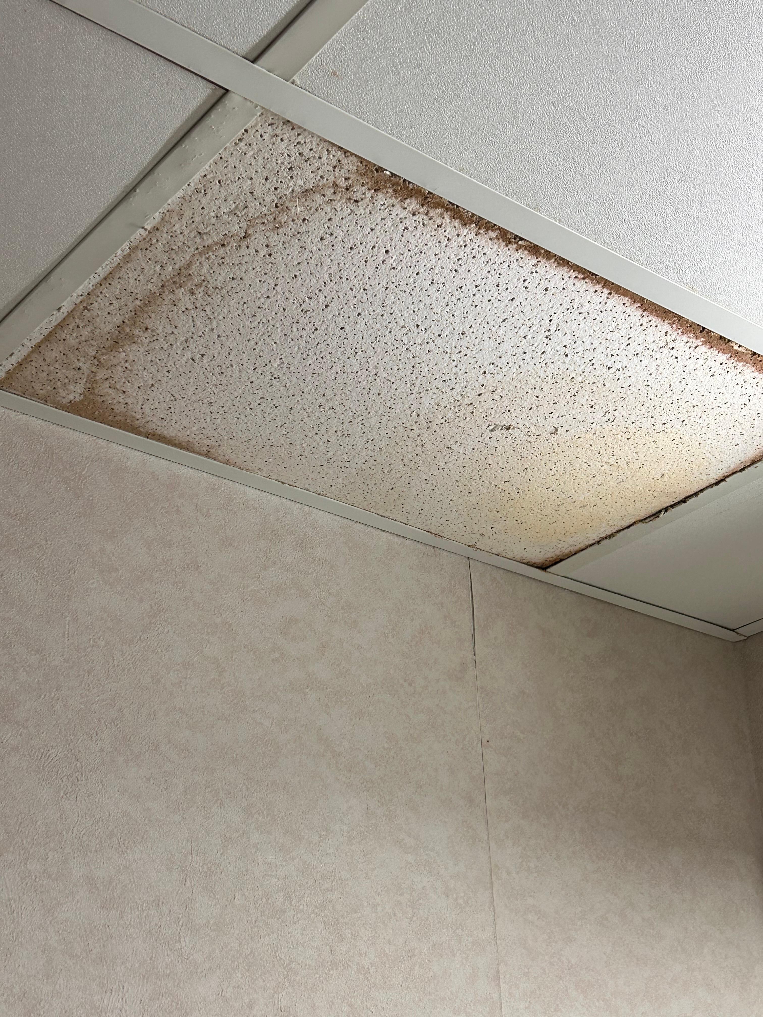 Rusty tile