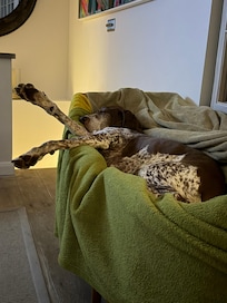 Note 30 layers of protective blankets!!