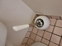 balais de toilette momifié de pq