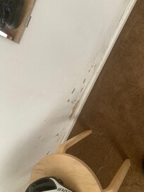 Paint missing on the walls