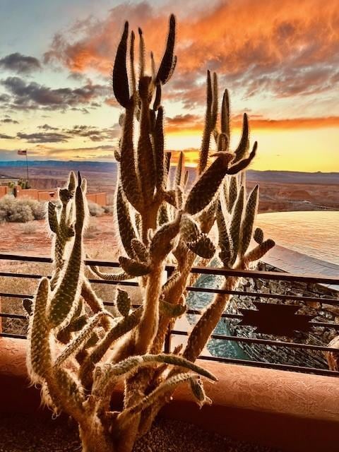 View from the back deck