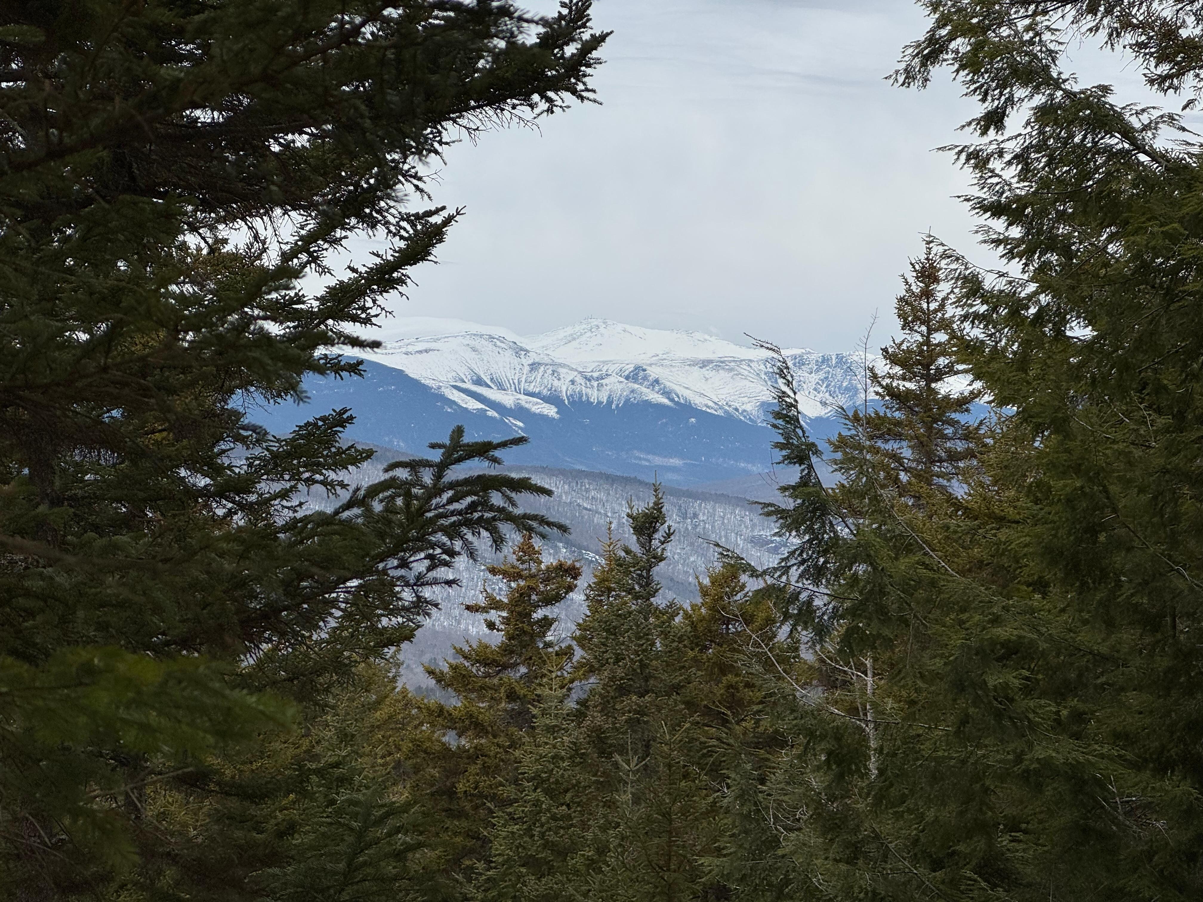 View of Mt. Washington from Tin Mountain 