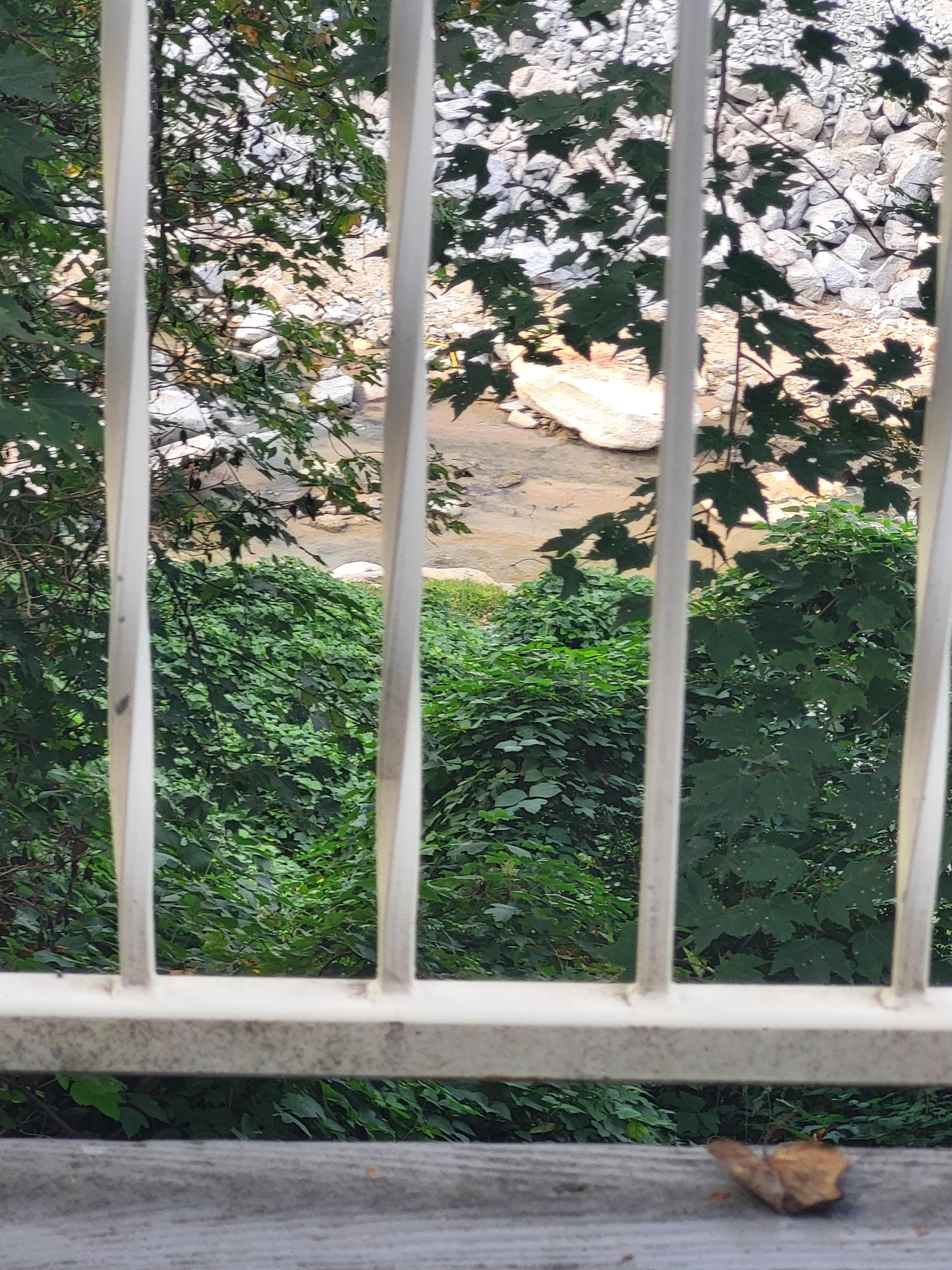 Taken off the main deck