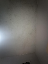 Molded bathroom ceiling