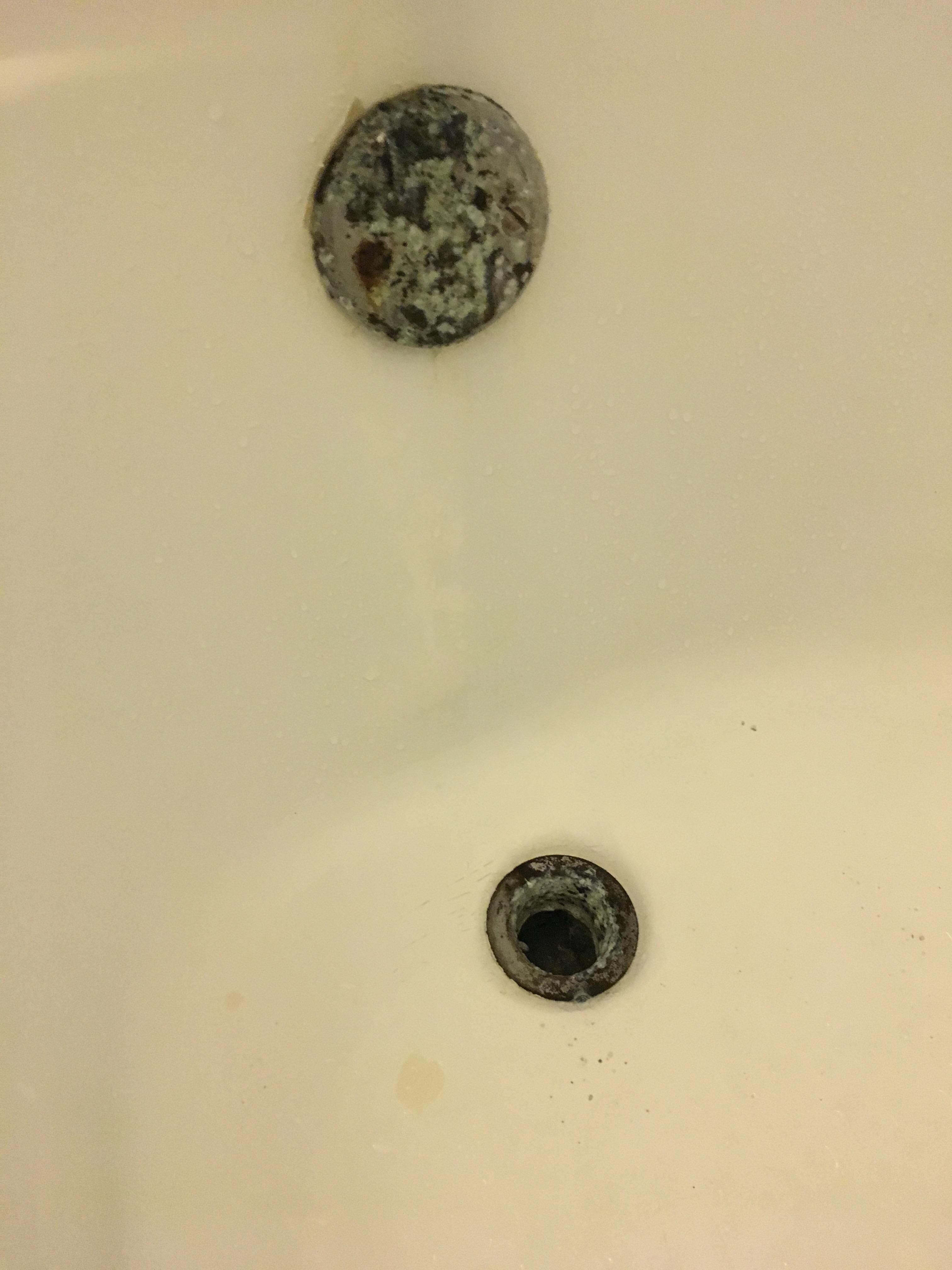 Rested hairy shower
