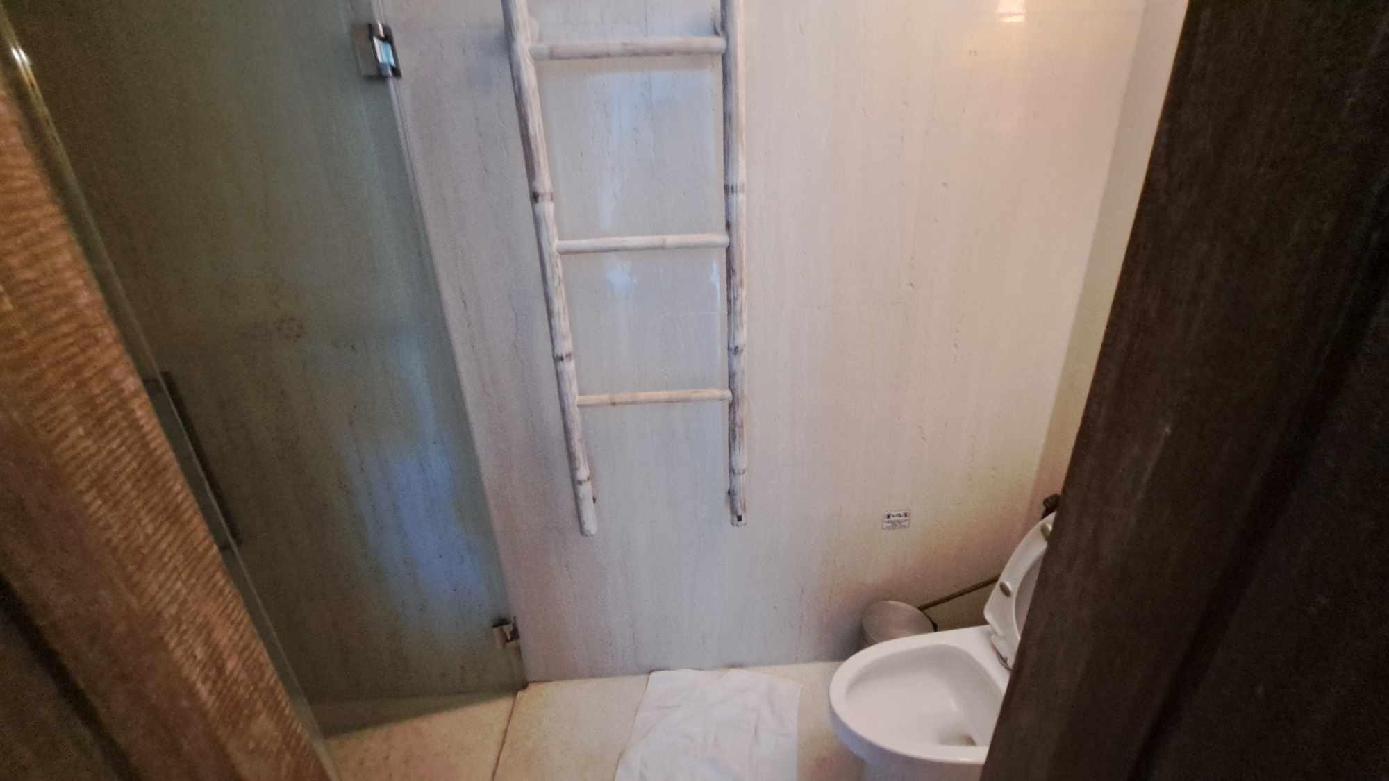 Toilet with shower