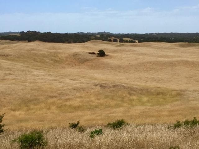 Rolling Grasslands