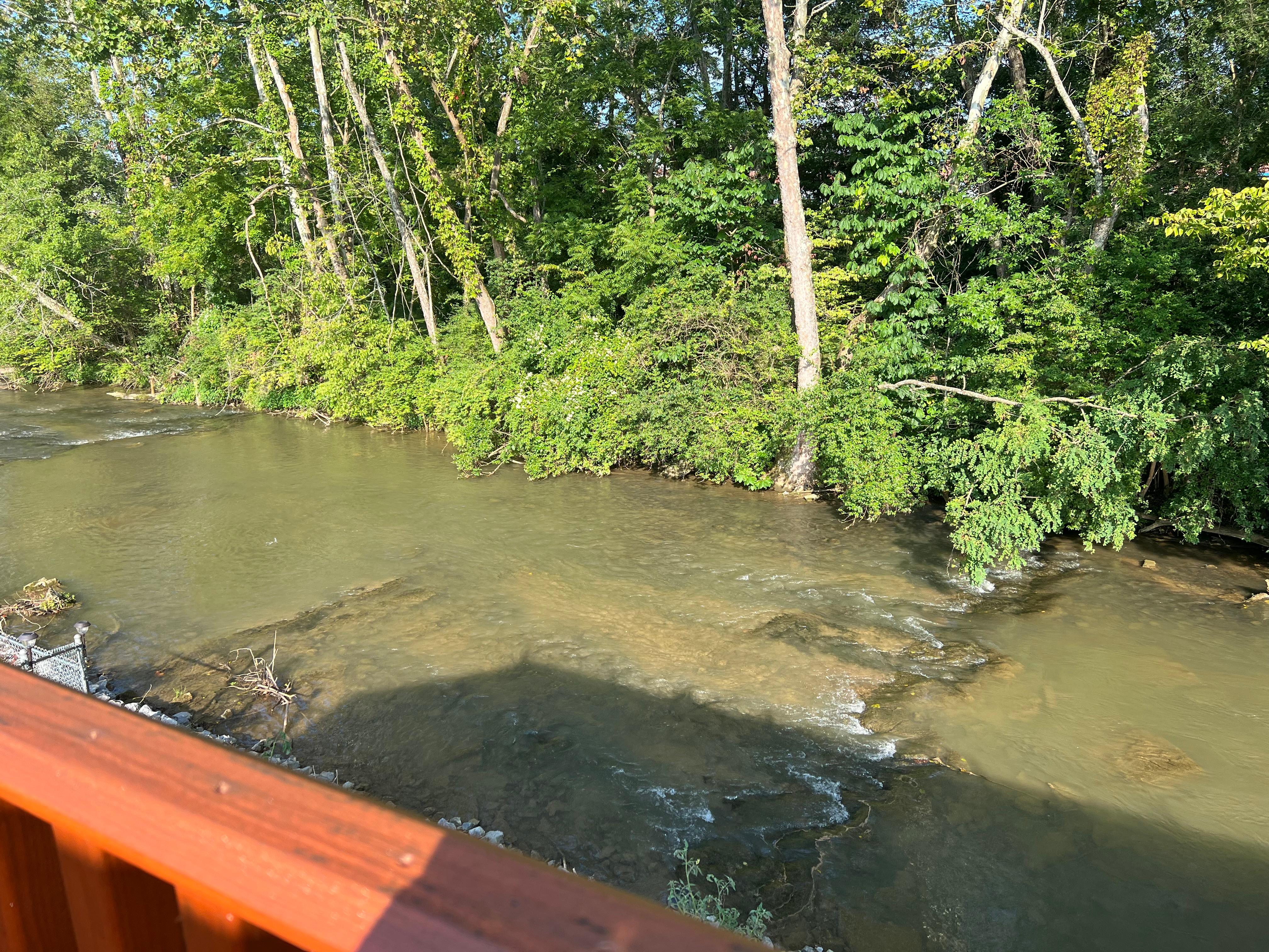 The view of the creek from the back deck so relaxing!!!