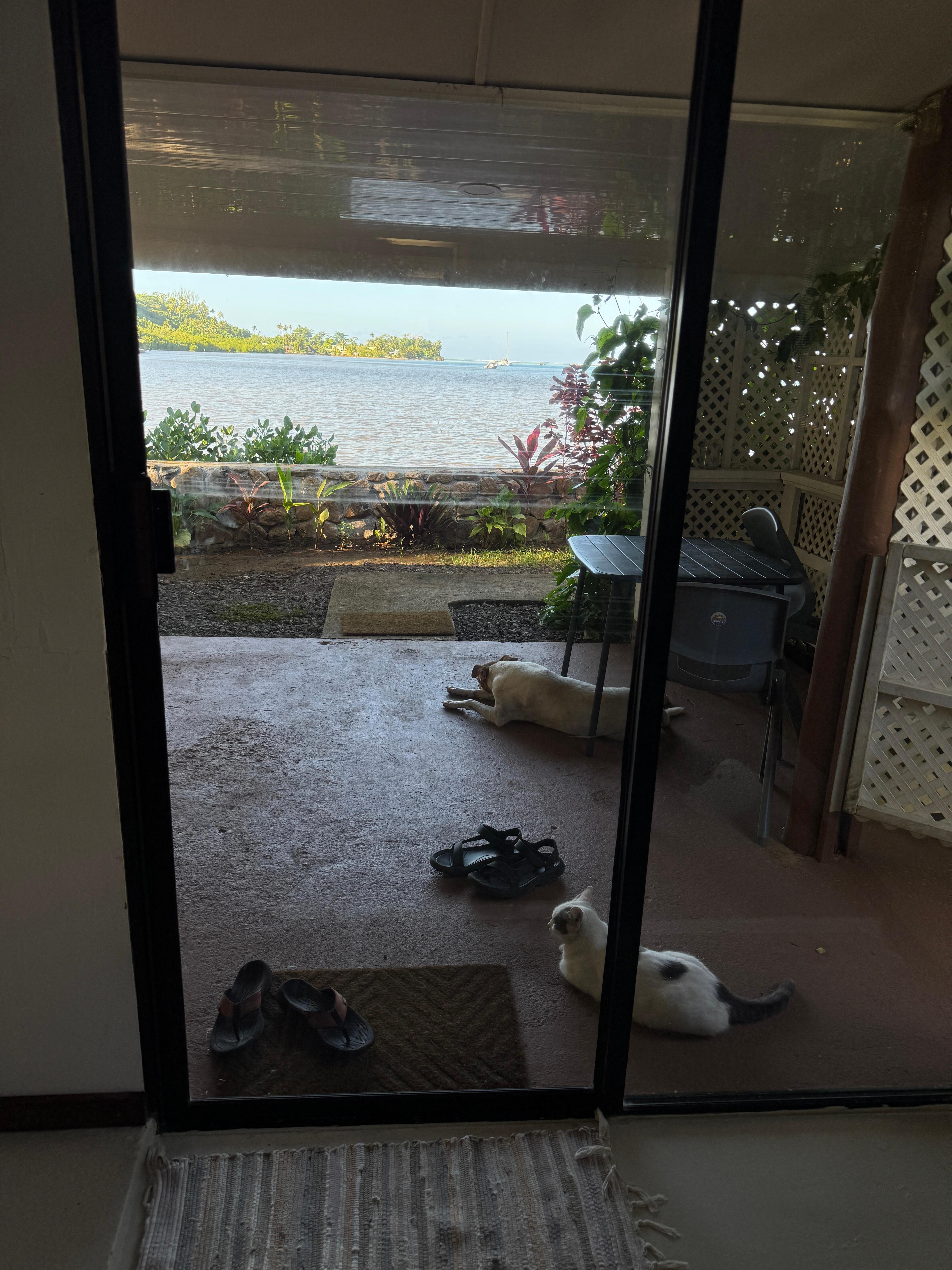 Friends enjoying the view with us
