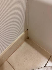 mold