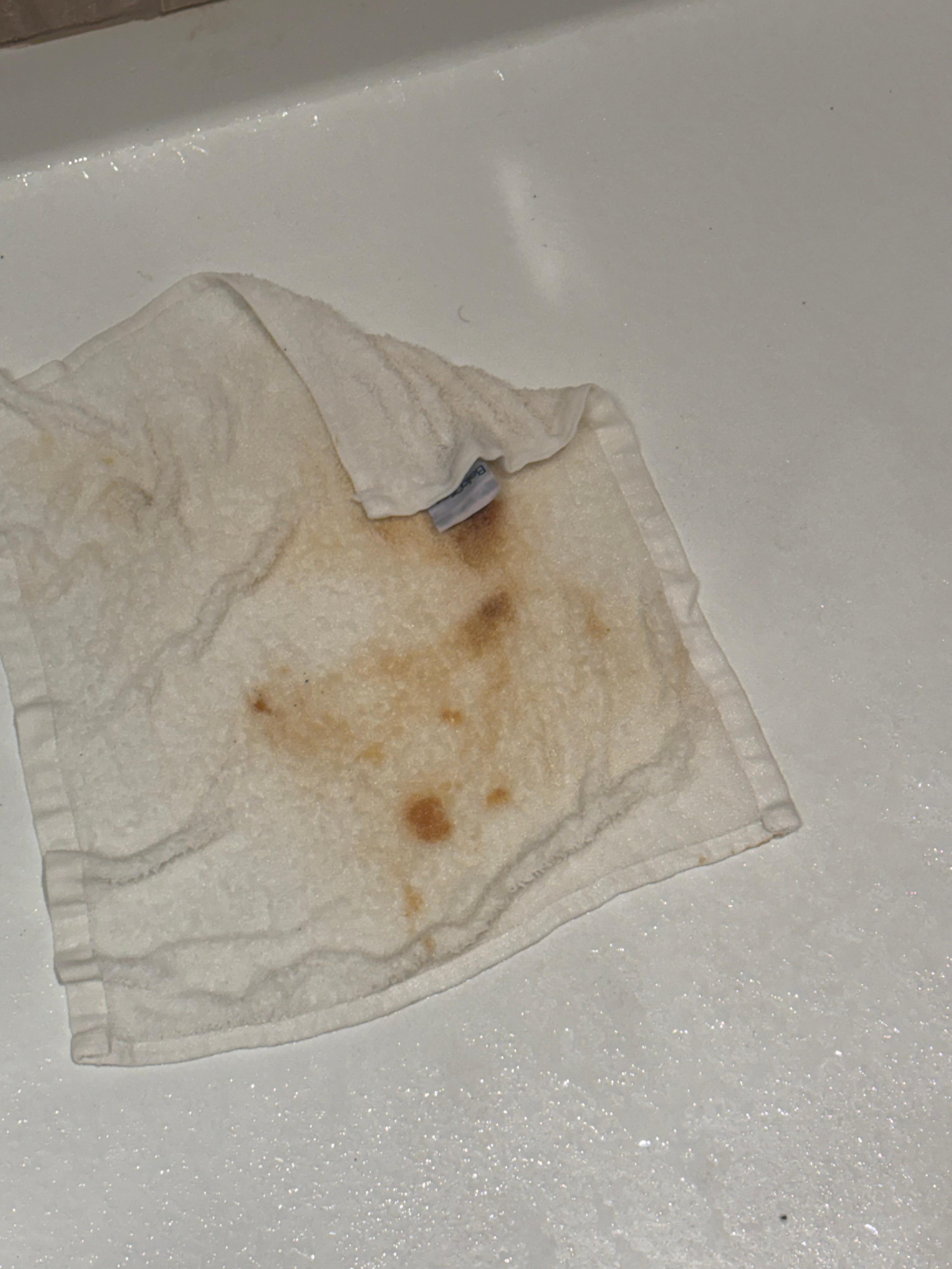 Stuff in my shower when I turned the water on… now it makes sense why my room smelled like bleach! Someone was trying to cover up the scent. 