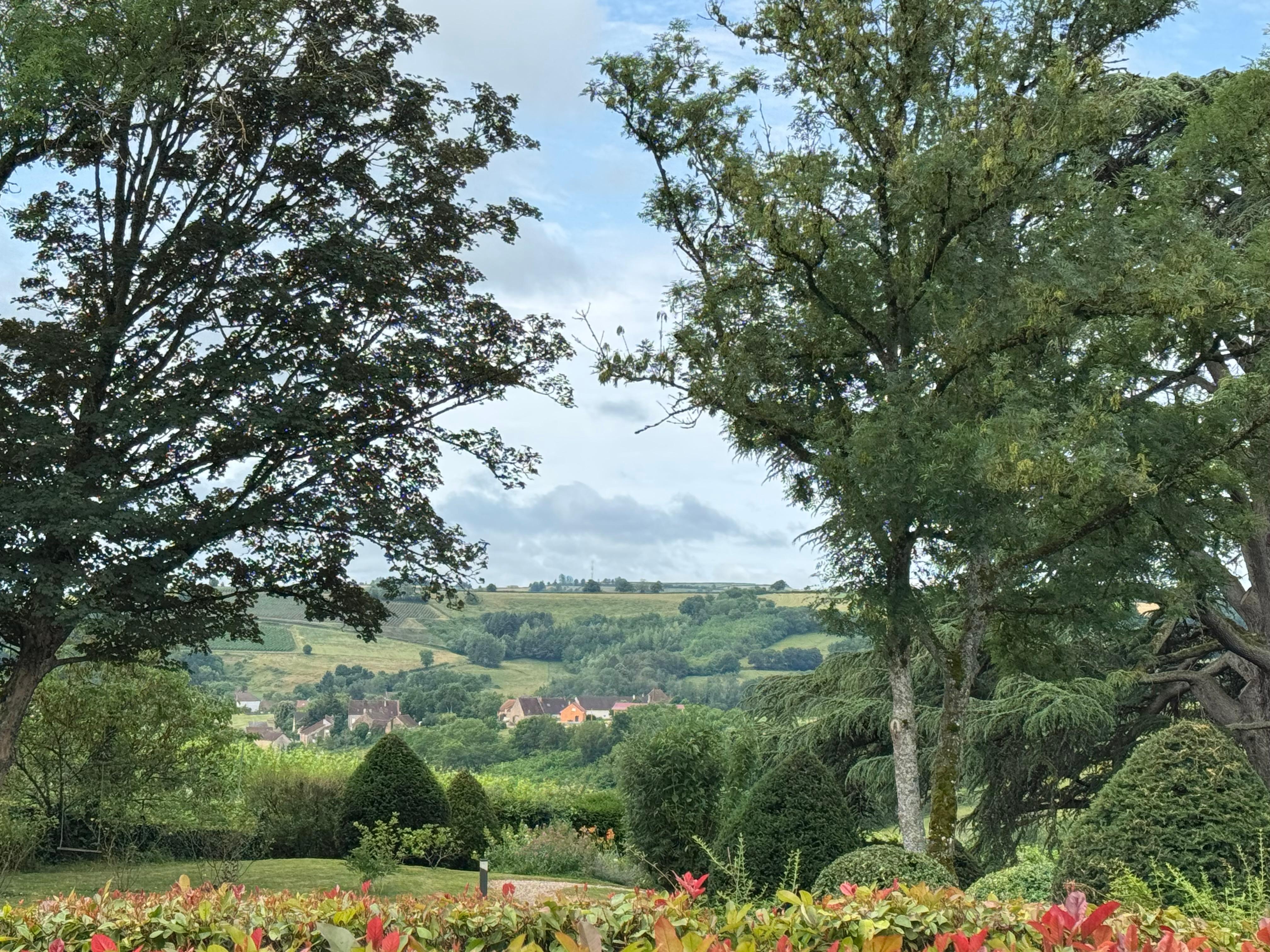 The view from the patio.