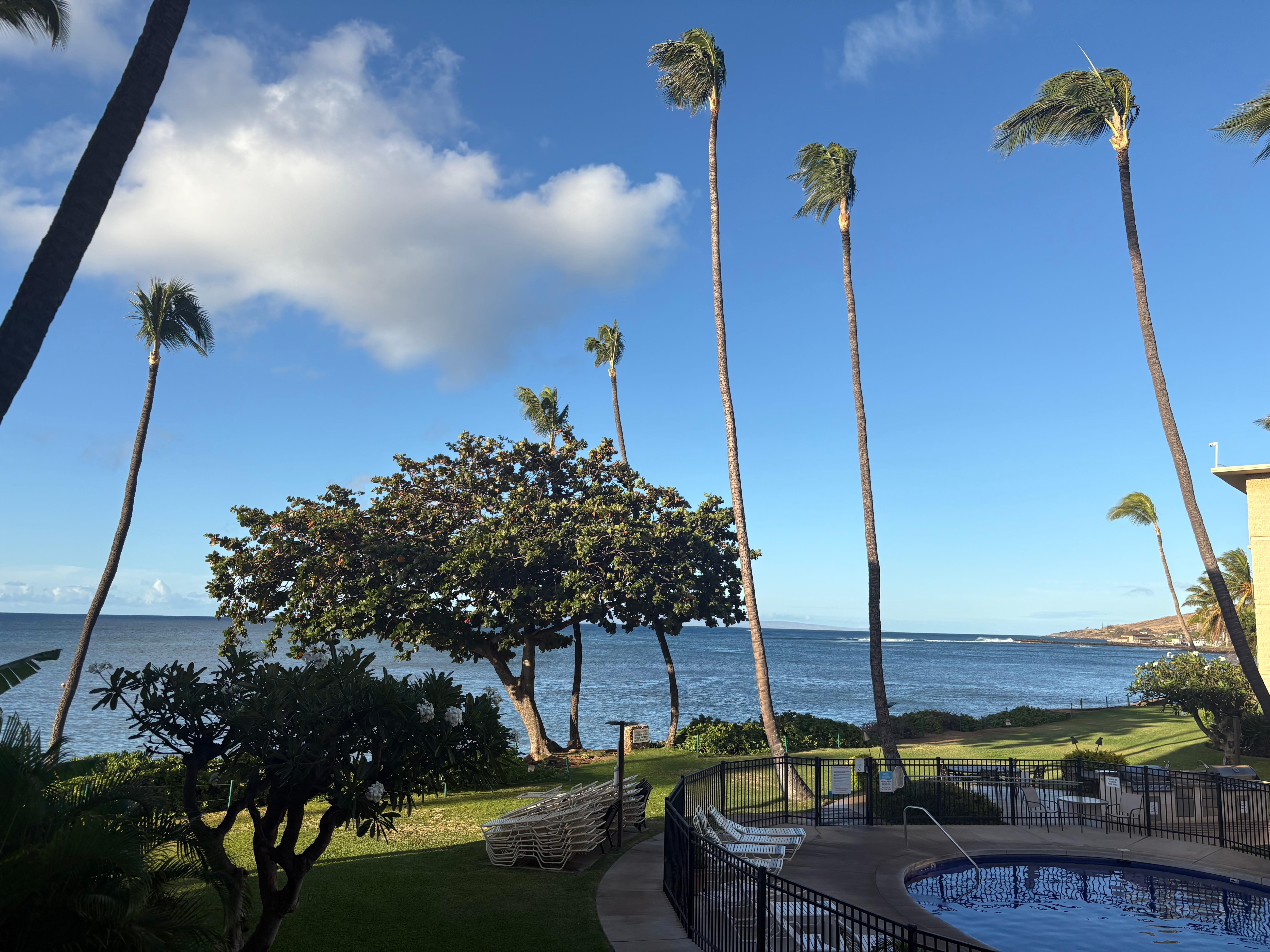 View from the lanai. 