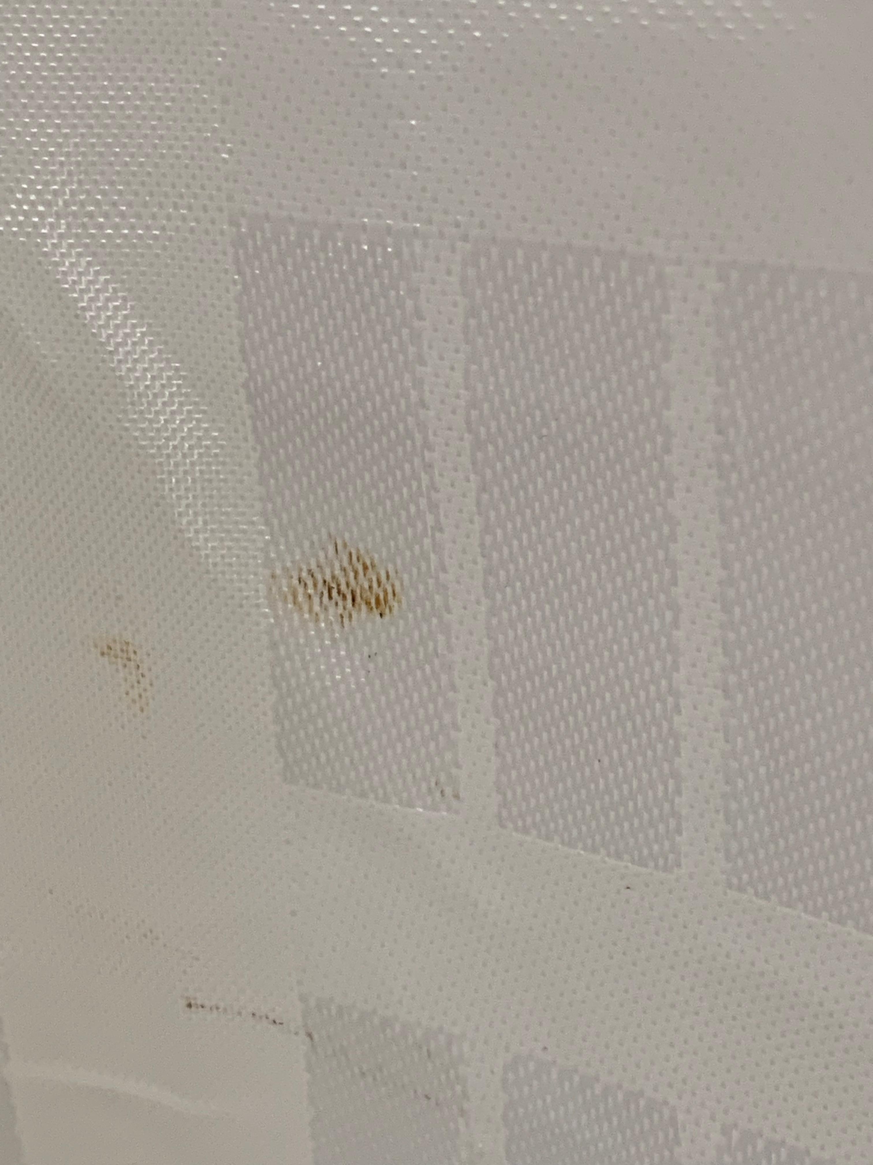 Blood shower curtain 