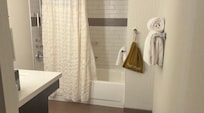 Bath tub, shower and removeable shower