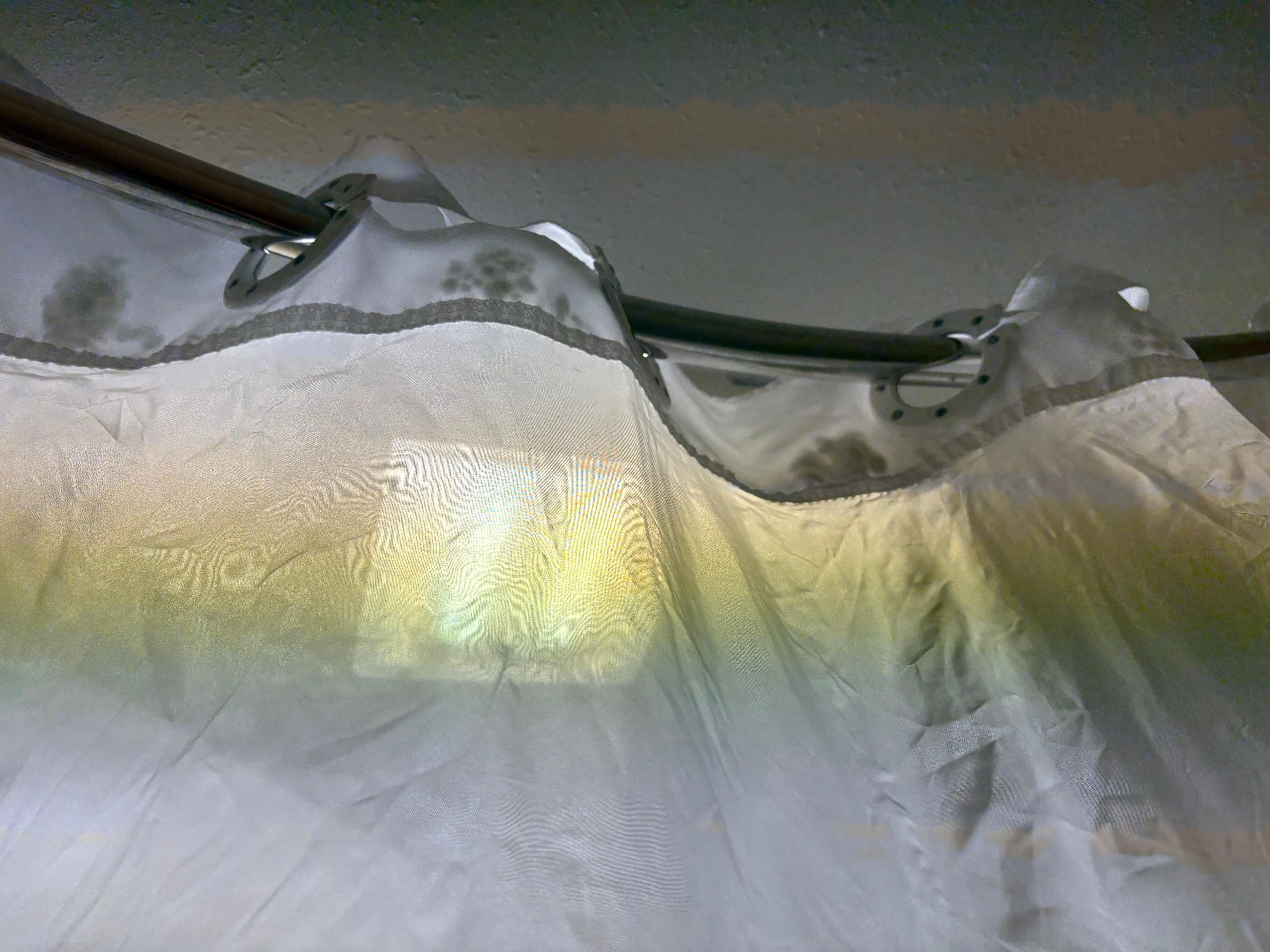 Mold in the top of the shower curtain 